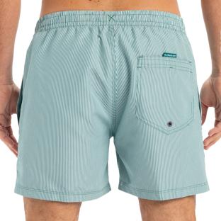 Short de Bain Vert Homme Quiksilver Deluxe 15 vue 2