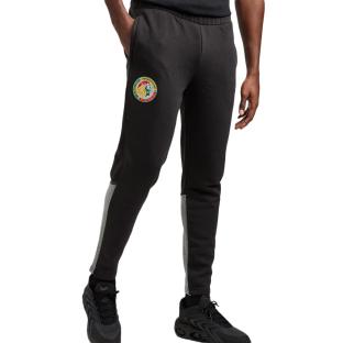Sénégal Pantalon de survêtement Noir Homme Puma vue 0