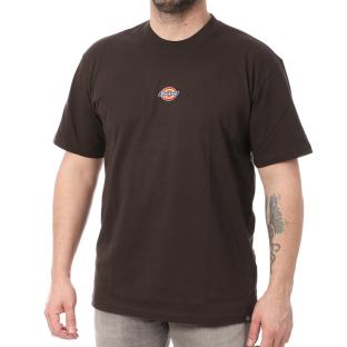 T-shirt Marron Homme Dickies Maple Valley pas cher