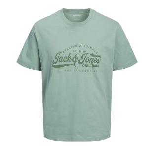 T-Shirt Vert Homme Jack & Jones Jordean vue 0