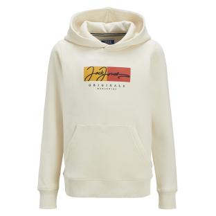 Sweat Beige Garçon Jack & Jones Jorfrederik pas cher