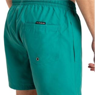 Short de Bain Vert Homme Quiksilver Solid 15 vue 0