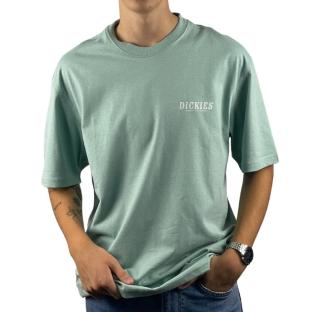 T-shirt Vert Homme Dickies Script Blue Surf pas cher