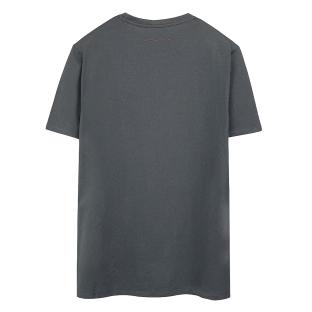 T-Shirt Gris Garçon Teddy Smith Company vue 0