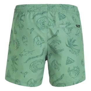 Maillot de bain Vert Homme O'Neill Cali vue 0