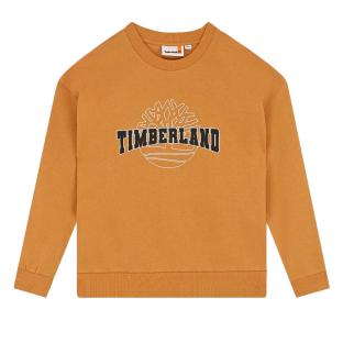 Gelbes Sweatshirt für Jungen von Timberland T60315/589 Ansicht 0