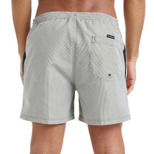 Short de bain Kaki Homme Quiksilver Deluxe 15 vue 2