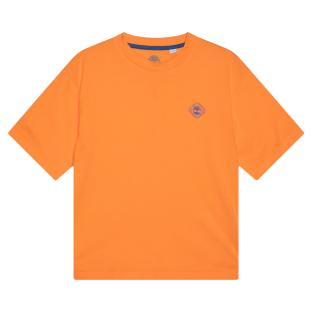 Timberland Boys’ Orange/Navy T-Shirt T60424 Nectarine Photo of the Espace des Marques %store% store - view of %key%