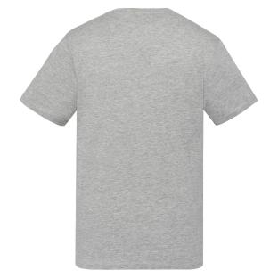 T-shirt Gris Homme Schott TSUSTOUR vue 0