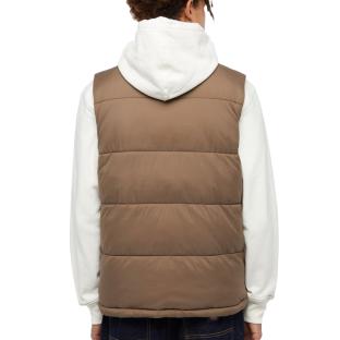 Doudoune sans manche Marron Homme Dickies Waldenburg vue 2