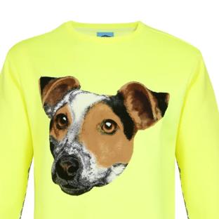 Sweat Jaune Homme Umbro Lif Crewnec vue 0