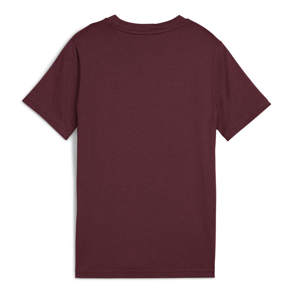 T-shirt Bordeaux Garçon Puma Ess 2 Color vue 2