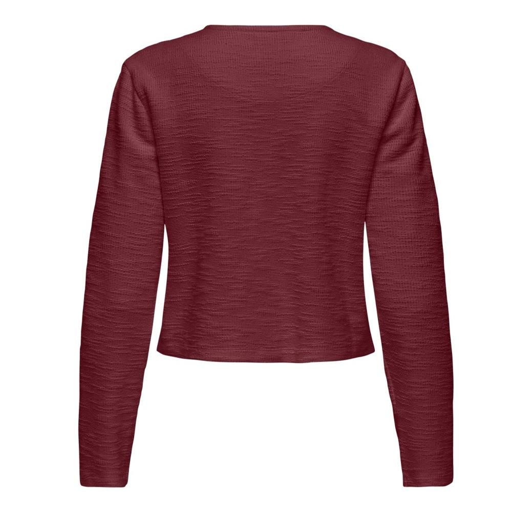 Blazer Bordeaux Femme JDY Ally vue 2