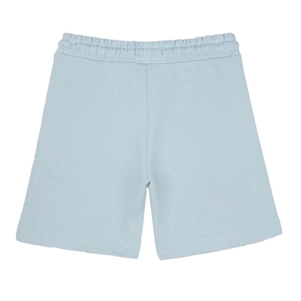 Short Vert Bleuté Homme Teddy Smith Narky vue 2
