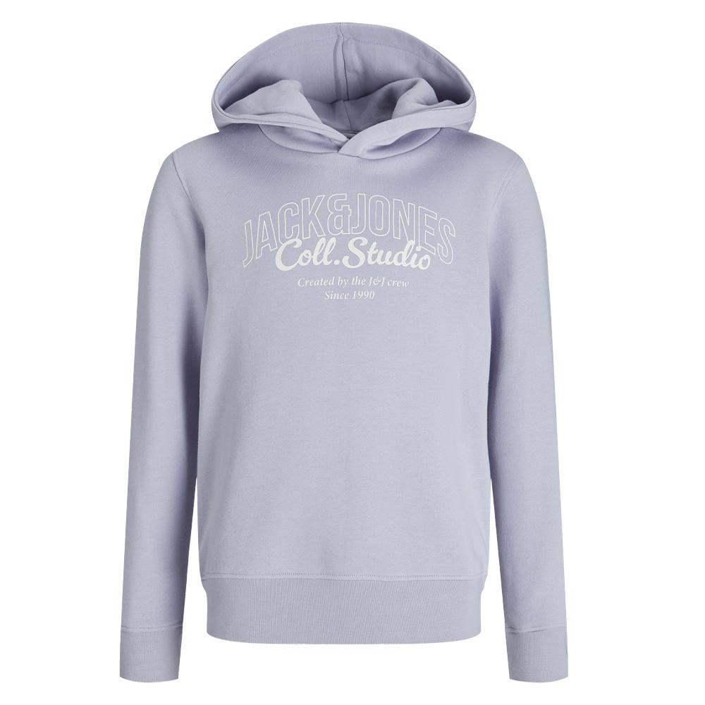 Sweat à Capuche Mauve Garçon Jack & Jones Makoto vue 3