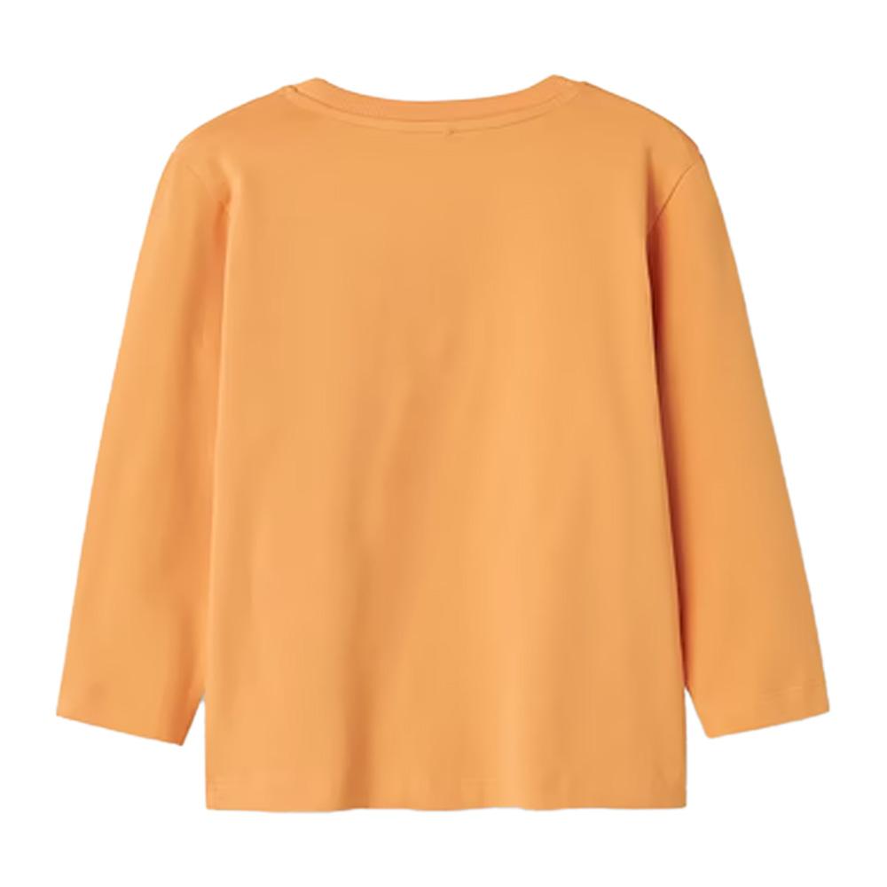 T-Shirt Manches Longues Orange Garçon Name it Thorhim vue 2