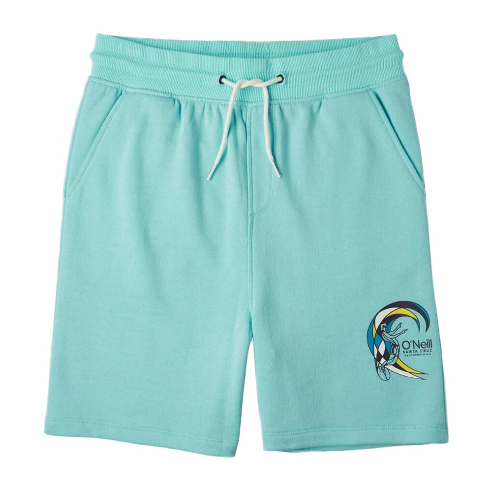 Short Turquoise Garçon O'Neill Circle Surfer pas cher