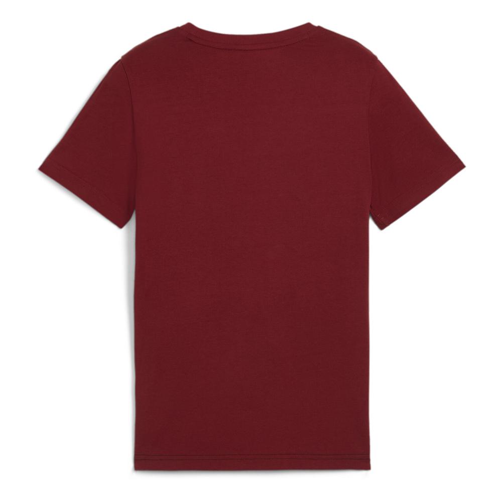 T-shirt Gris/Bordeaux/Noir Garçon Puma B Ess Block Tee vue 2