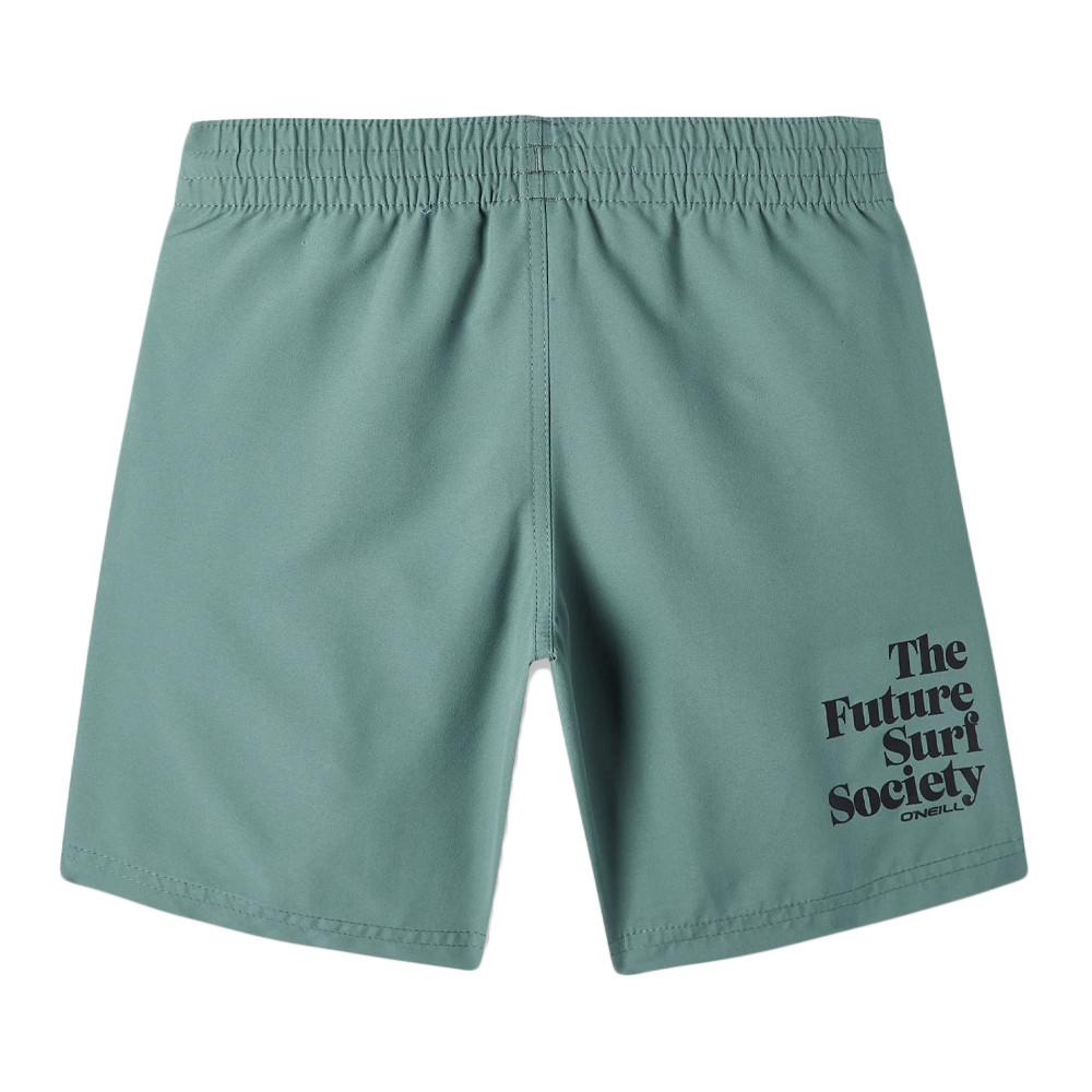 Short de bain Bleu Canard Garçon O'Neill Future Surf Society 14 vue 2