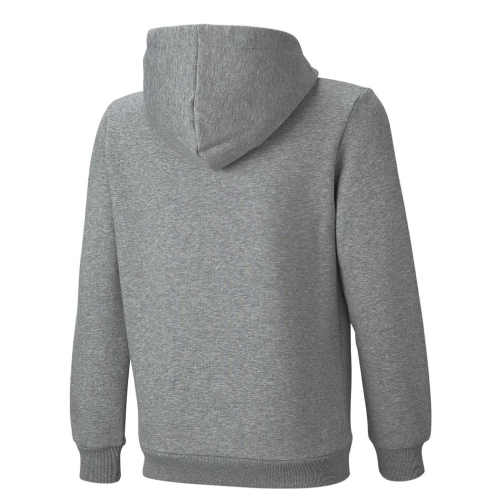 Sweat Gris Garçon Puma Hoodie vue 2
