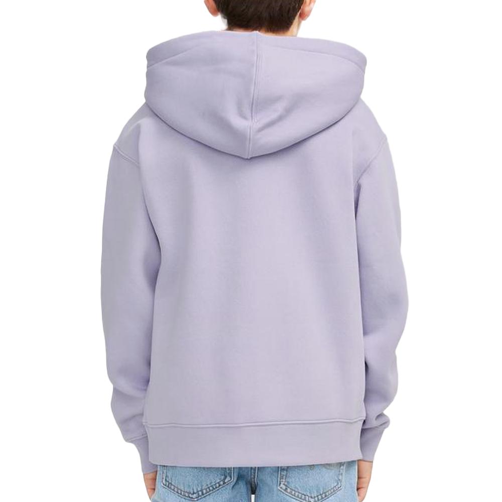 Sweat à Capuche Violet Garçon Languid vue 2