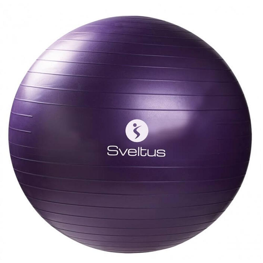 Ballon de Gymnastique Sveltus Violet 55 Cm pas cher