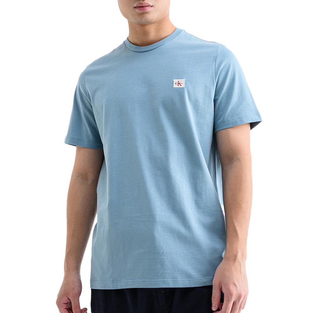 Lot de 2 T-shirts Gris/Bleu Homme Calvin Klein Jeans Ss Badge vue 2