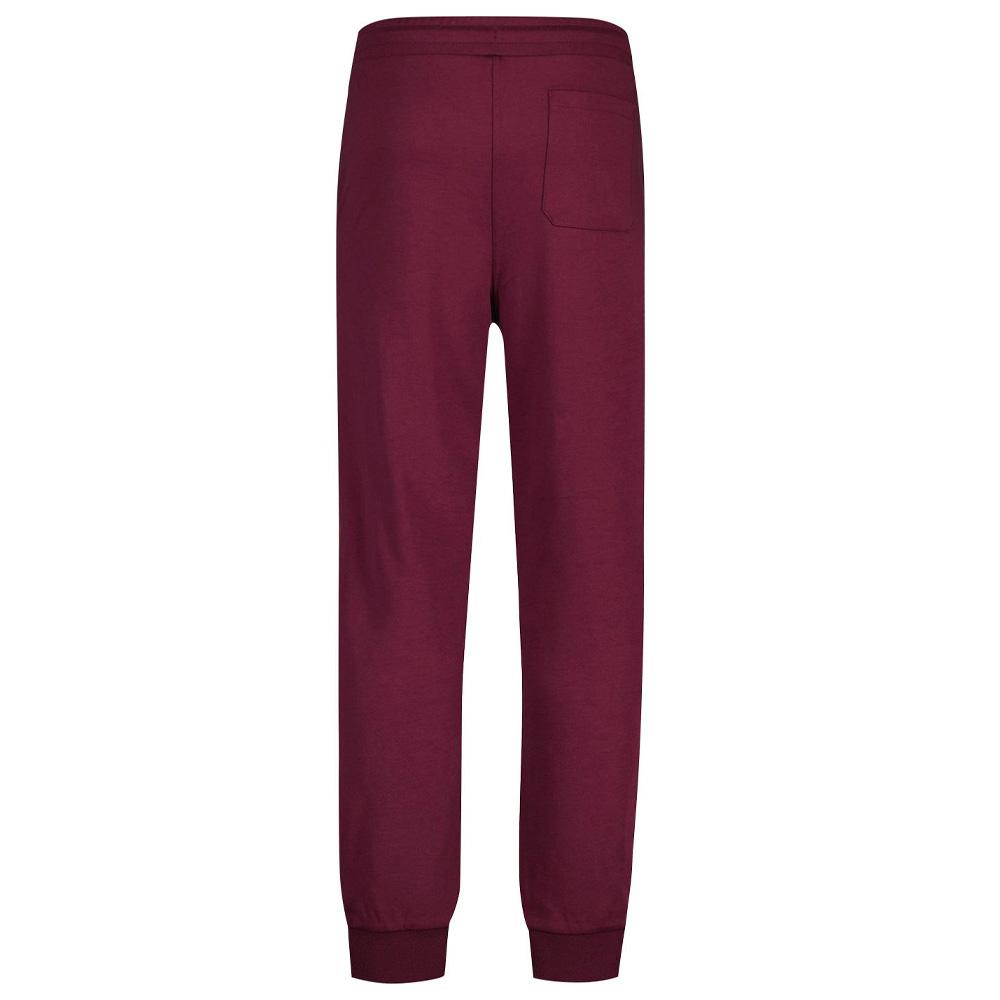 Jogging Bordeaux Homme Fila Lonny vue 2