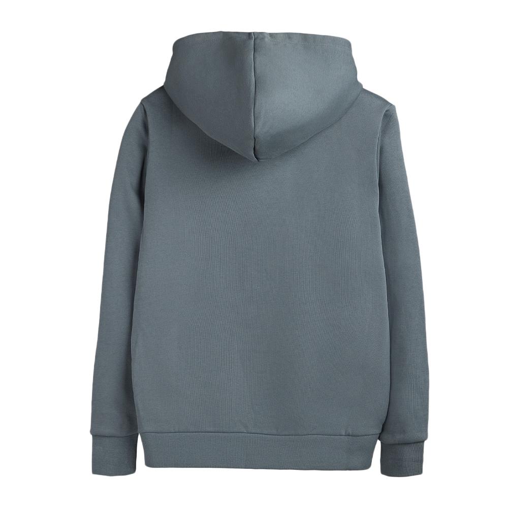 Sweat à Capuche Gris Homme Teddy Smith nark Hoody vue 2