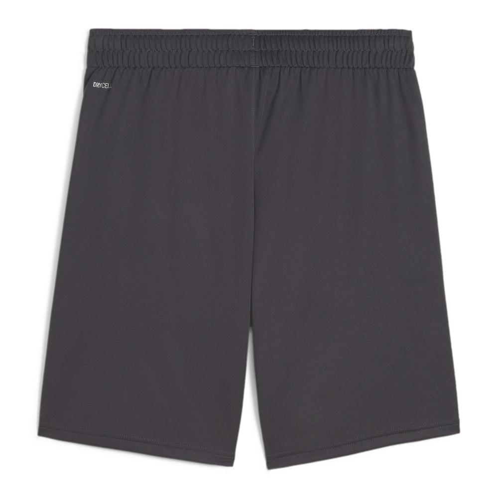OM Short de Foot Gris Homme Puma Training 2023/24 vue 2