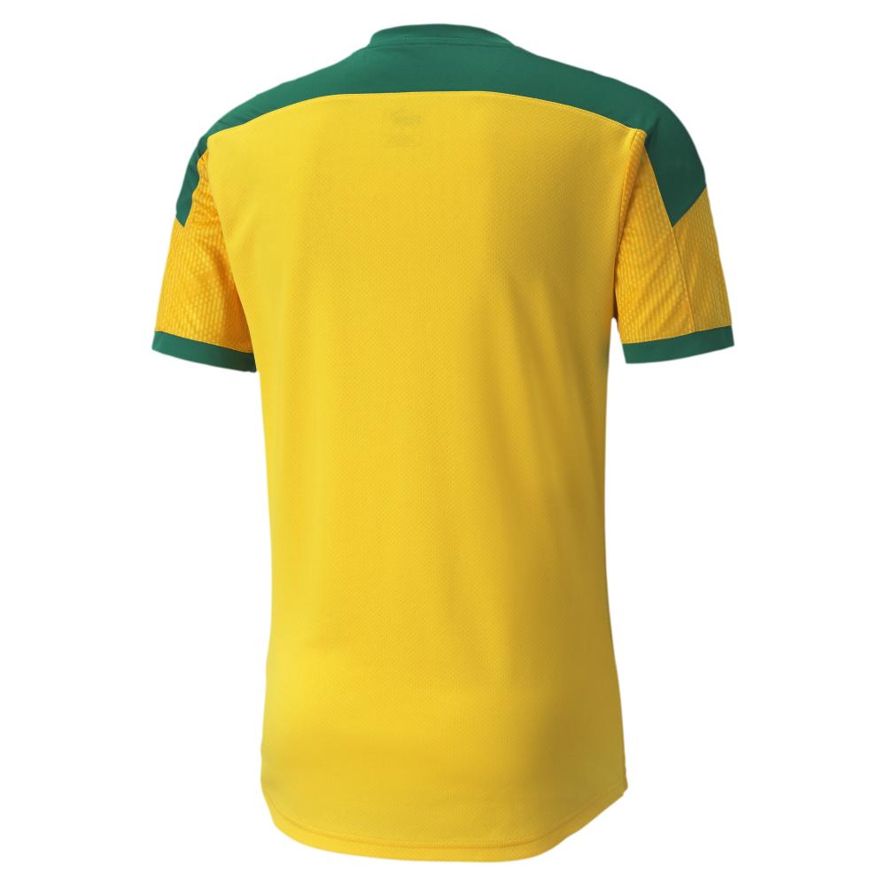 Sénégal Maillot d'Entraînement Jaune Homme Puma 2020-2021 vue 2