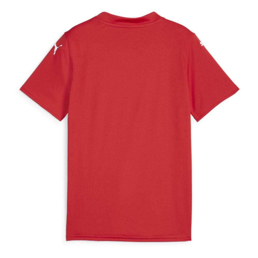 Maillot de football Rouge Garçon Puma Teamglory Jersey Jr vue 2