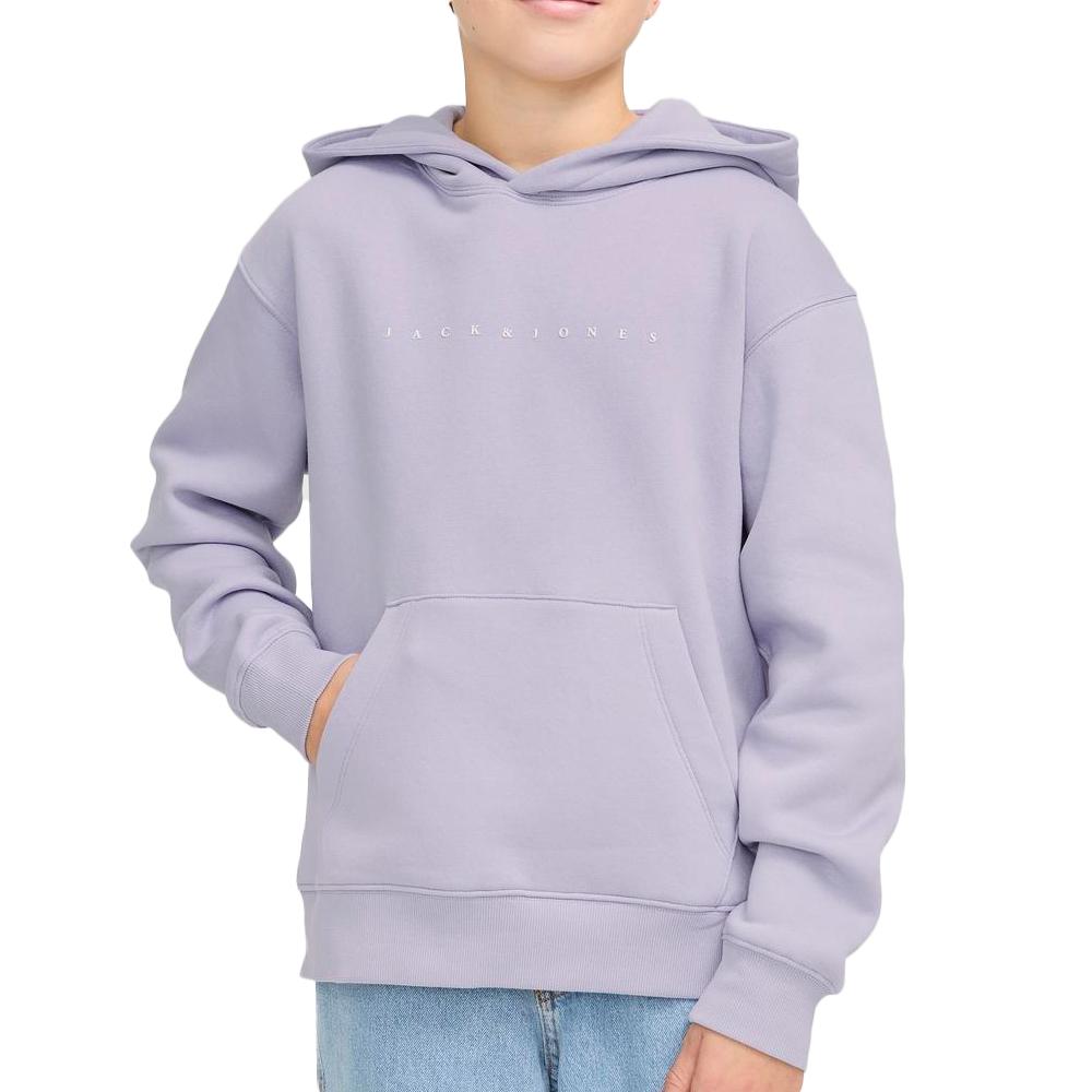 Sweat à Capuche Violet Garçon Languid pas cher