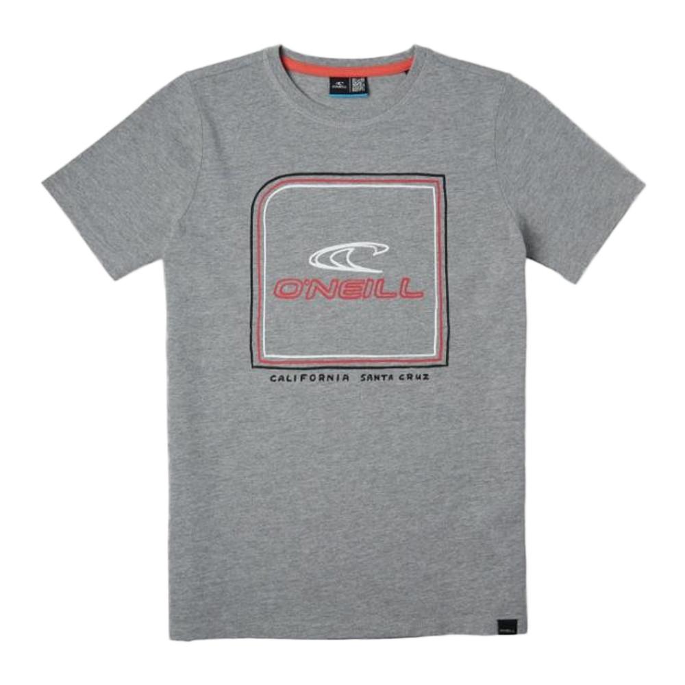 T-shirt Gris Garçon O'Neill All Year T-shirt pas cher