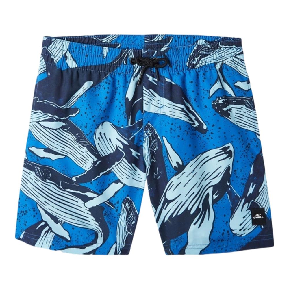 Bañador O'Neill Cali Azul Niño barato