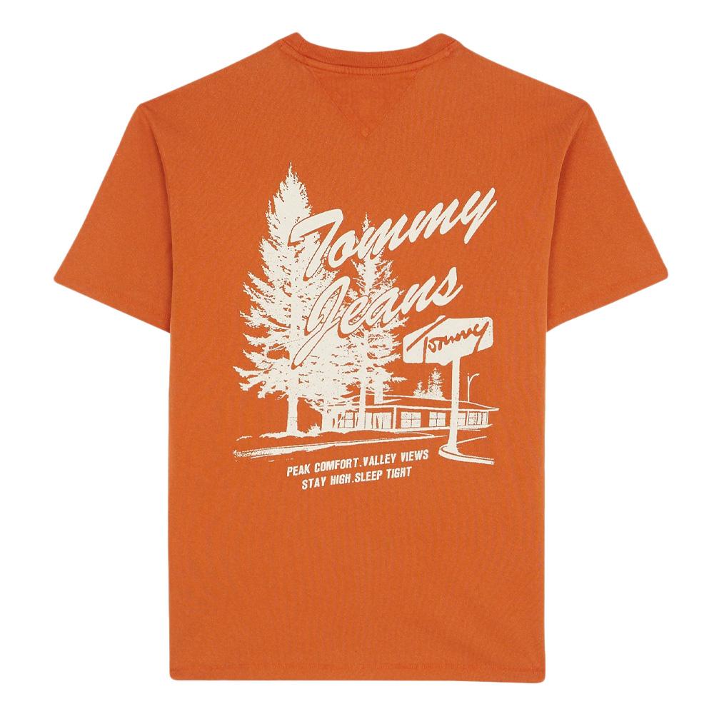 T-Shirt Orange Homme Tommy Hilfiger Novelty vue 2