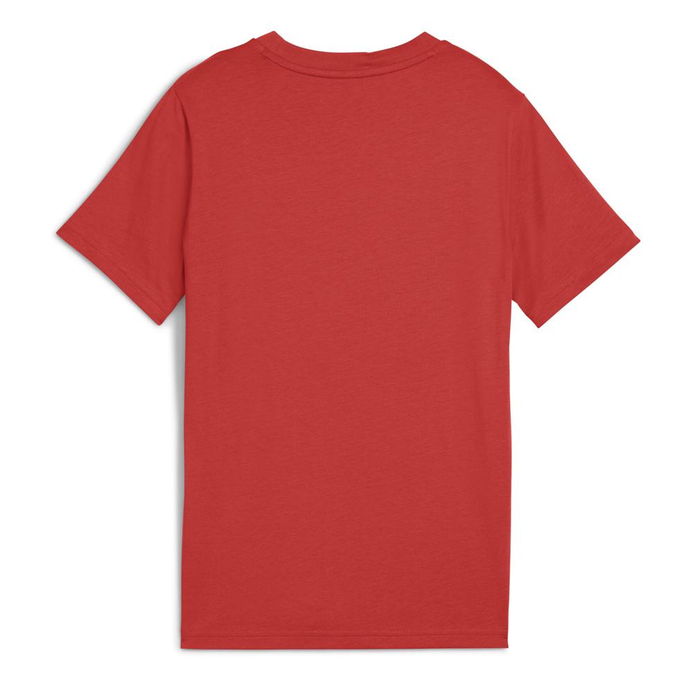 T-shirt Terracotta Garçon Puma Ess 2 Color vue 2