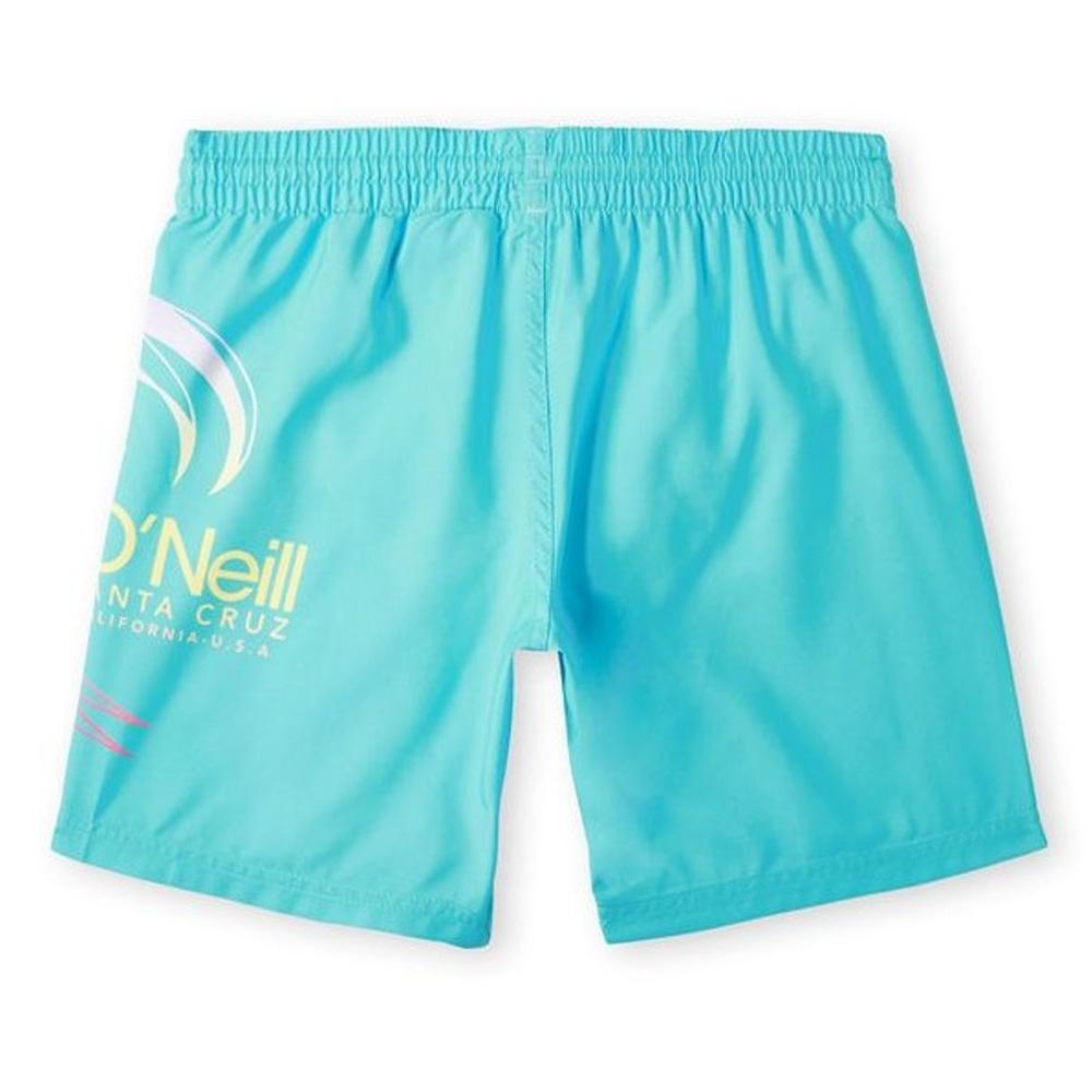 Bañador O'Neill Circle Surfer Niño Azul ver 2