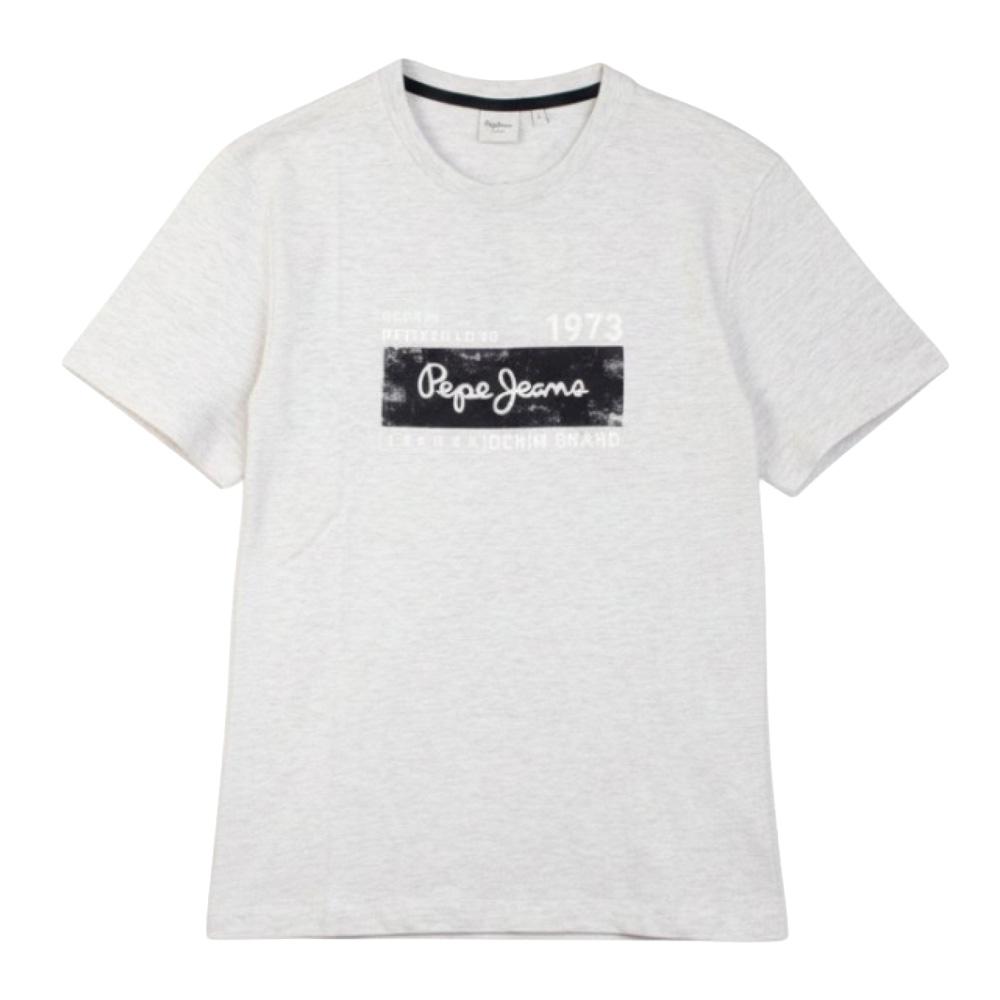 Camiseta hombre gris Pepe jeans Pjl M barato