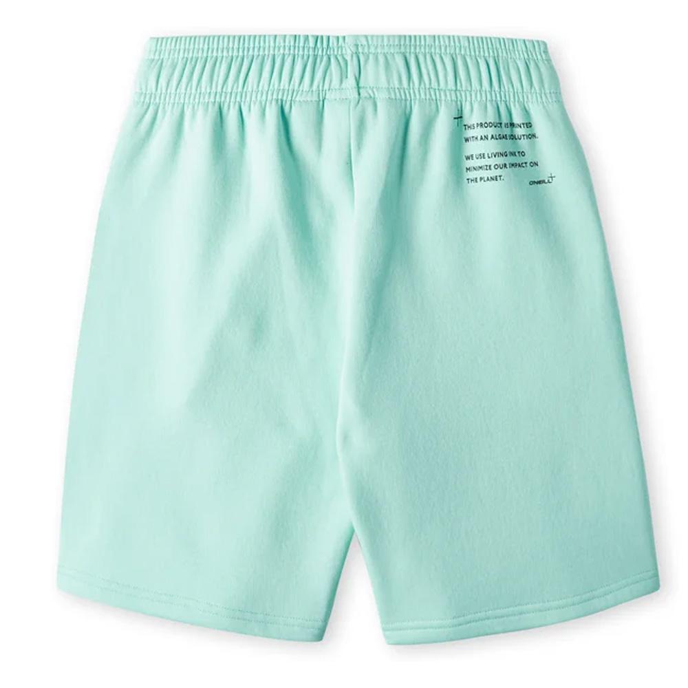 Short Turquoise Garçon O'Neill Future vue 2