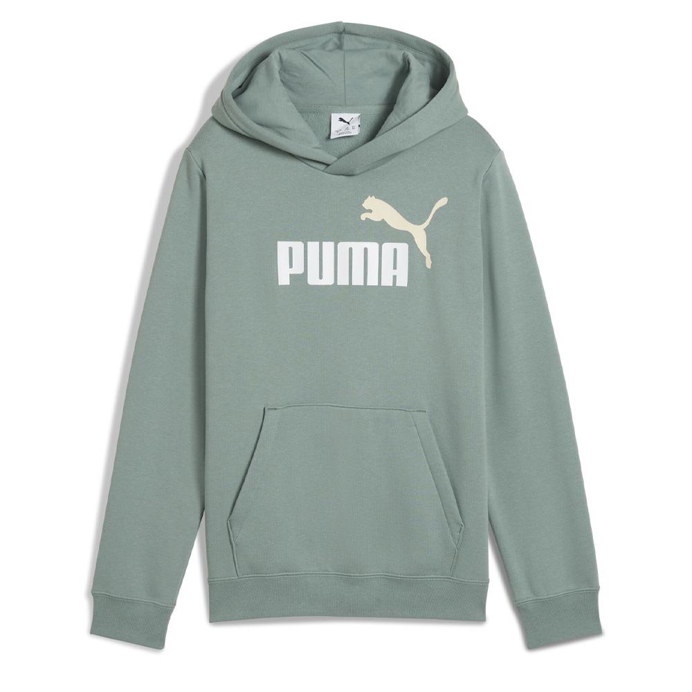 Sweat à Capuche Vert Garçon Puma Ess2 Color pas cher