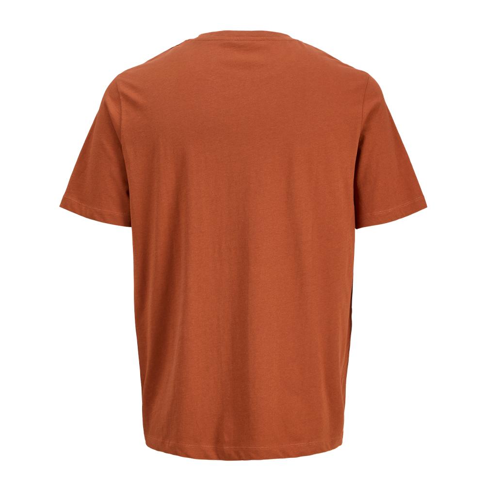 T-shirt Marron Garçon Jack & Jones Canggu vue 2