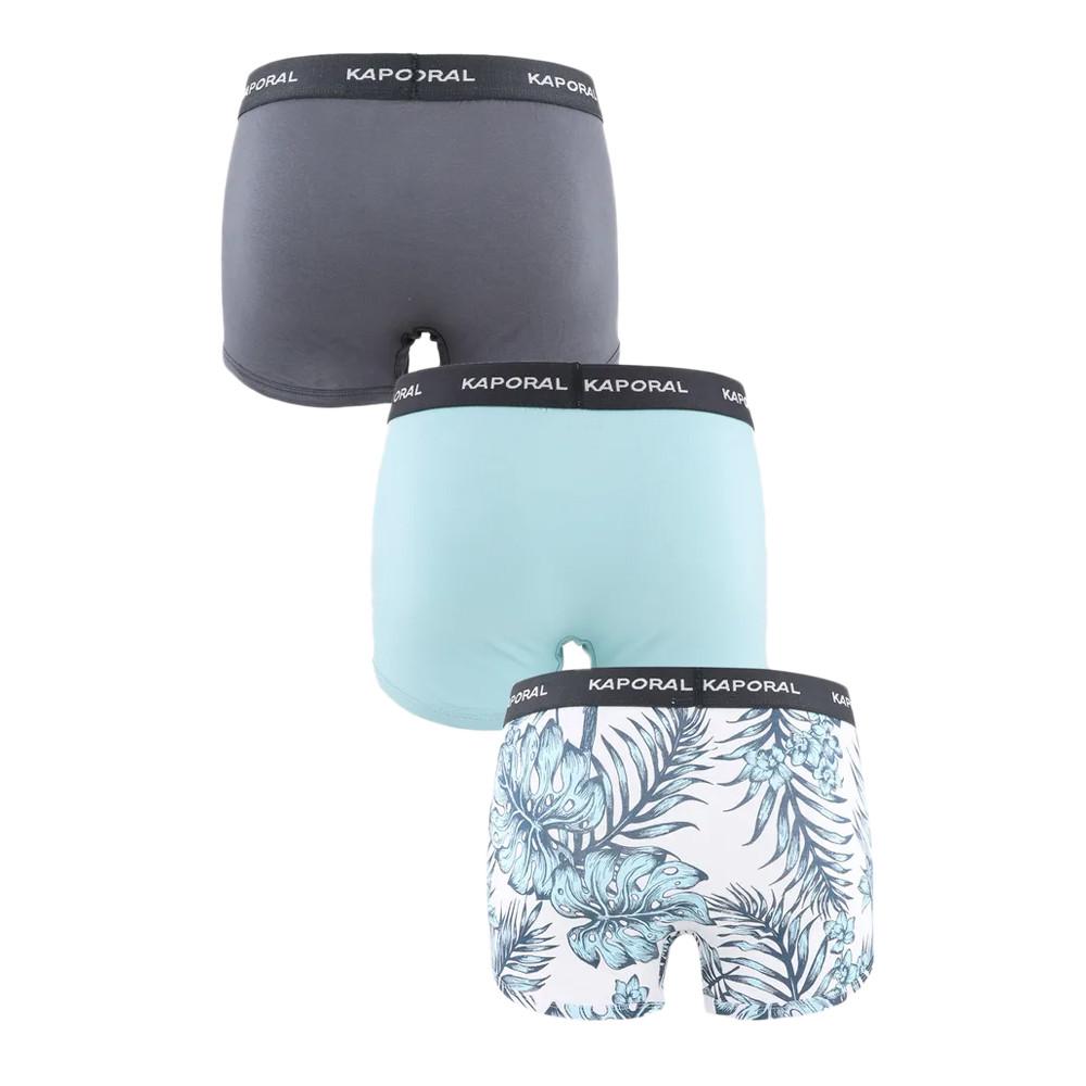 X3 Boxers Blanc/Bleu Homme Kaporal Tacos vue 2