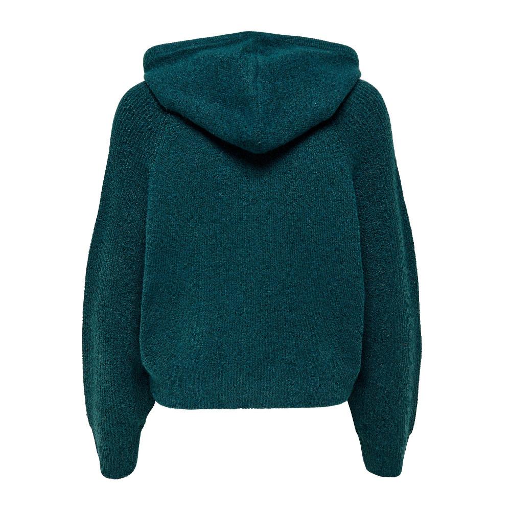 Pull à capuche Turquoise Femme JDY Brilliant vue 2