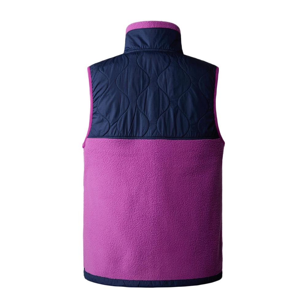Veste sans Manches Bleu/Violette Femme The North Face NF0A7UT4H1I1 vue 2