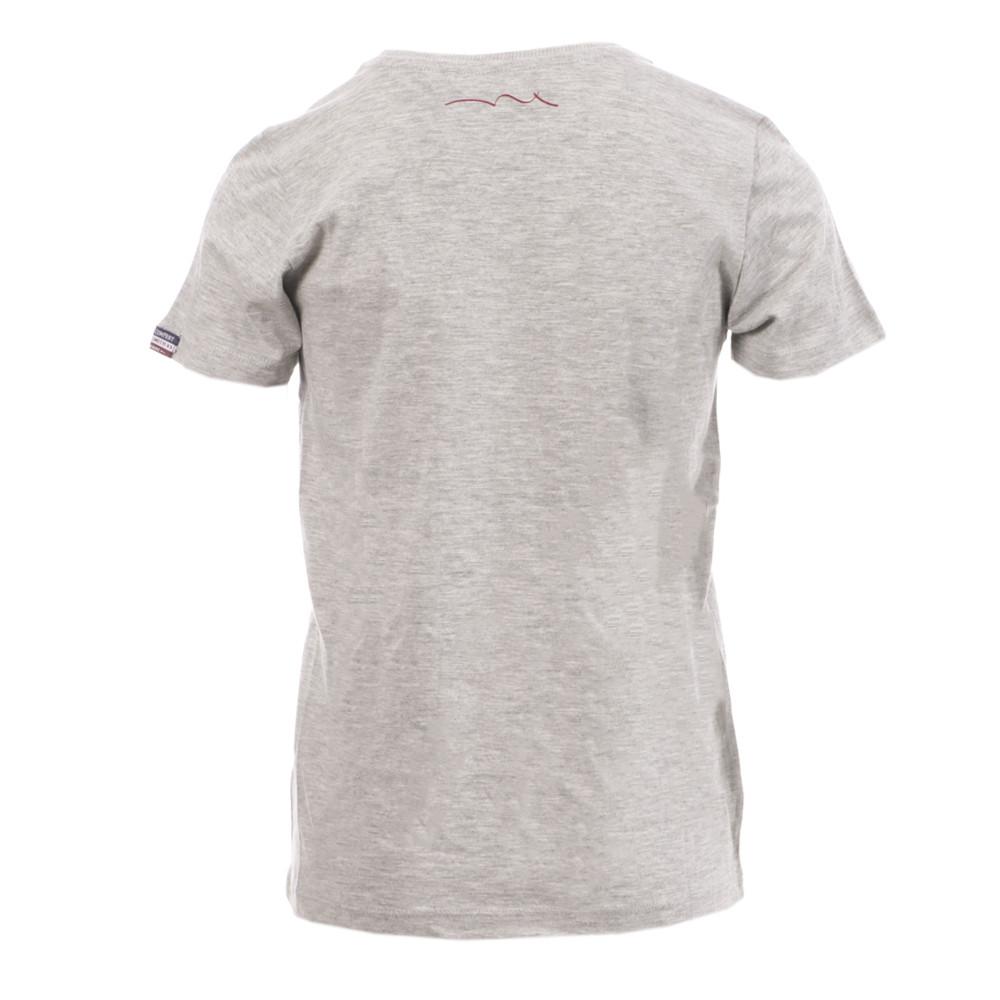T-shirt Gris Garçon Teddy Smith Twiga vue 2