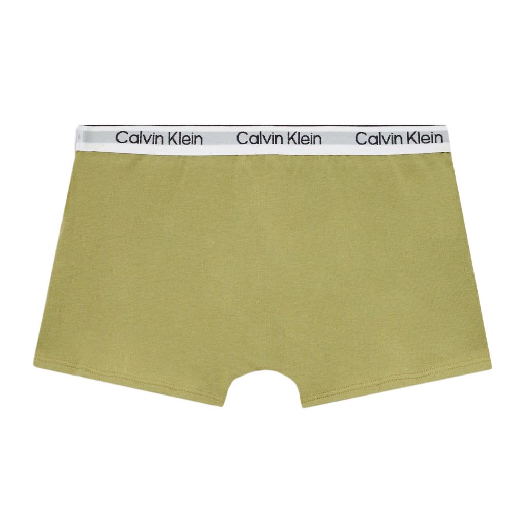 Lot de deux Boxers Vert Garçon Calvin Klein Jeans B70B700506 vue 2