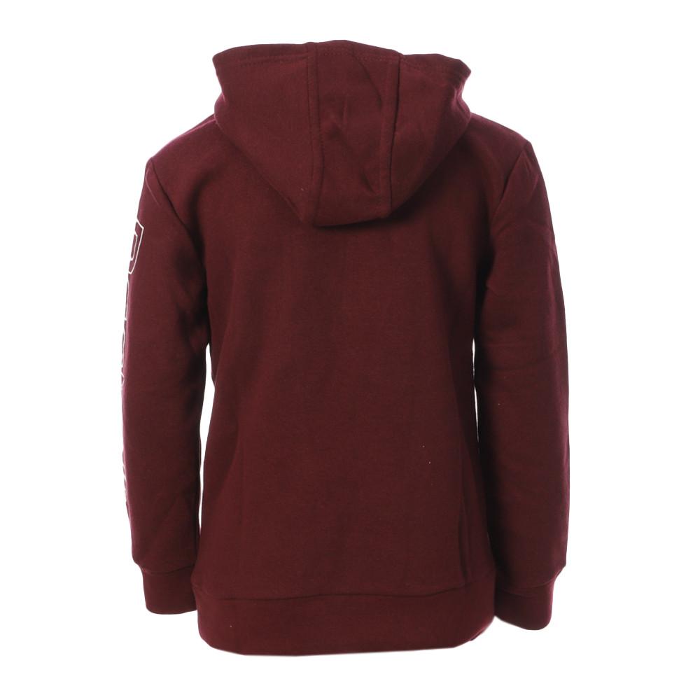 Sweat à Capuche Bordeaux Garçon Reebok Hoodie vue 2