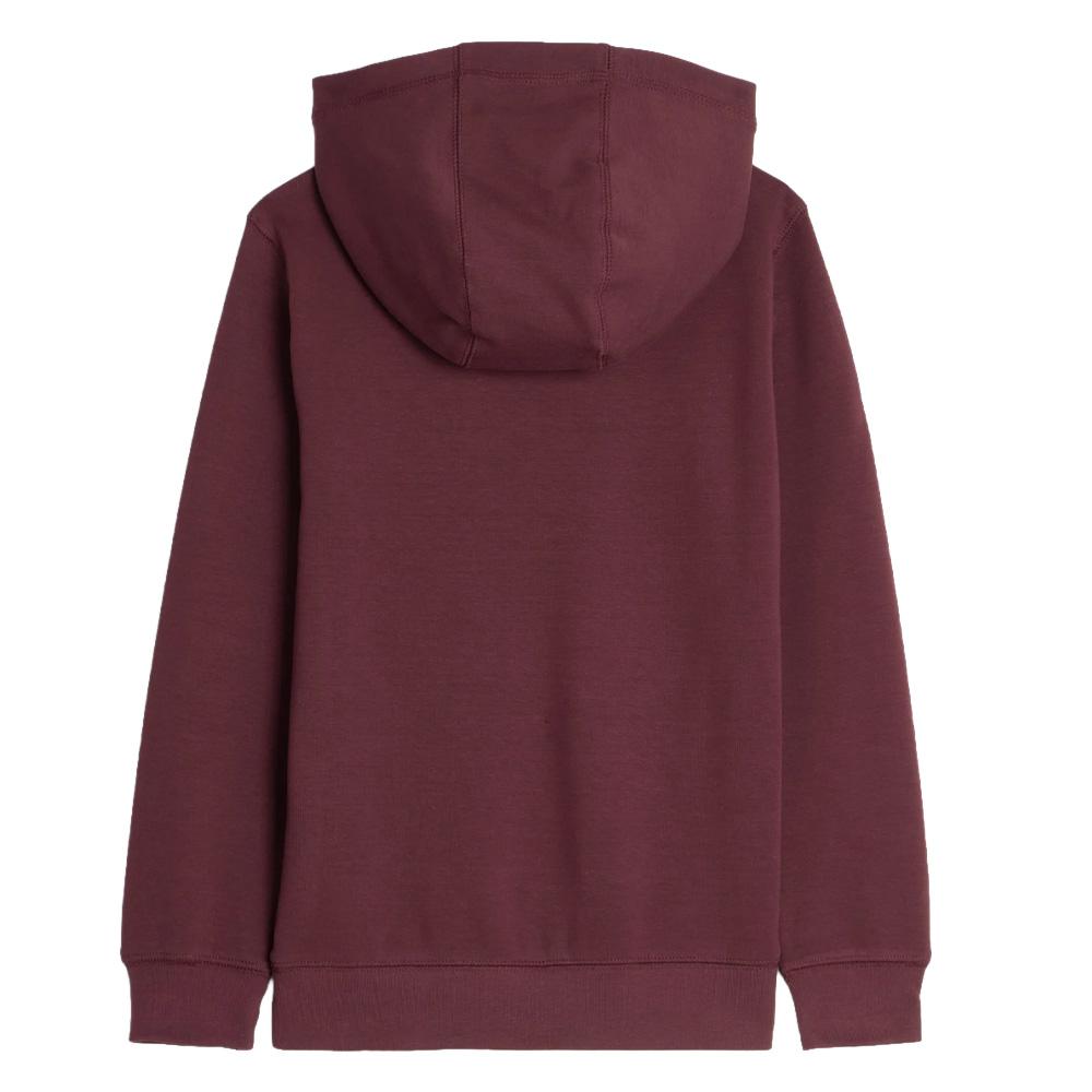 Sweat à Capuche Bordeaux Garçon Teddy Smith Evry1 vue 2