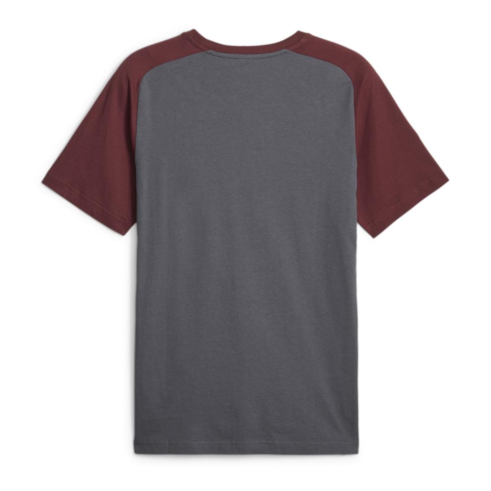 Manchester City T-shirt Gris Homme Puma Casuals vue 2